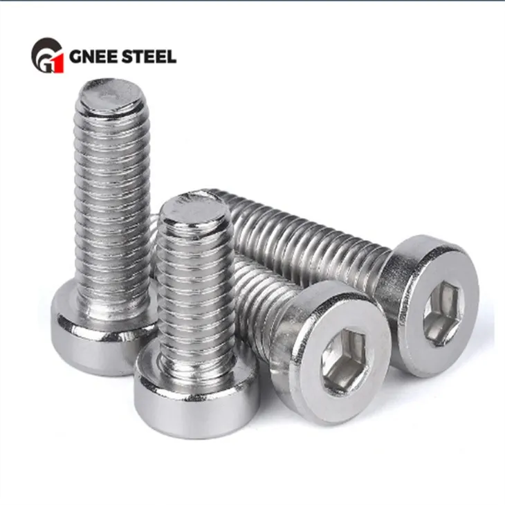 SS201 SS304 SS316 Sekskantbolte med lavt hoved